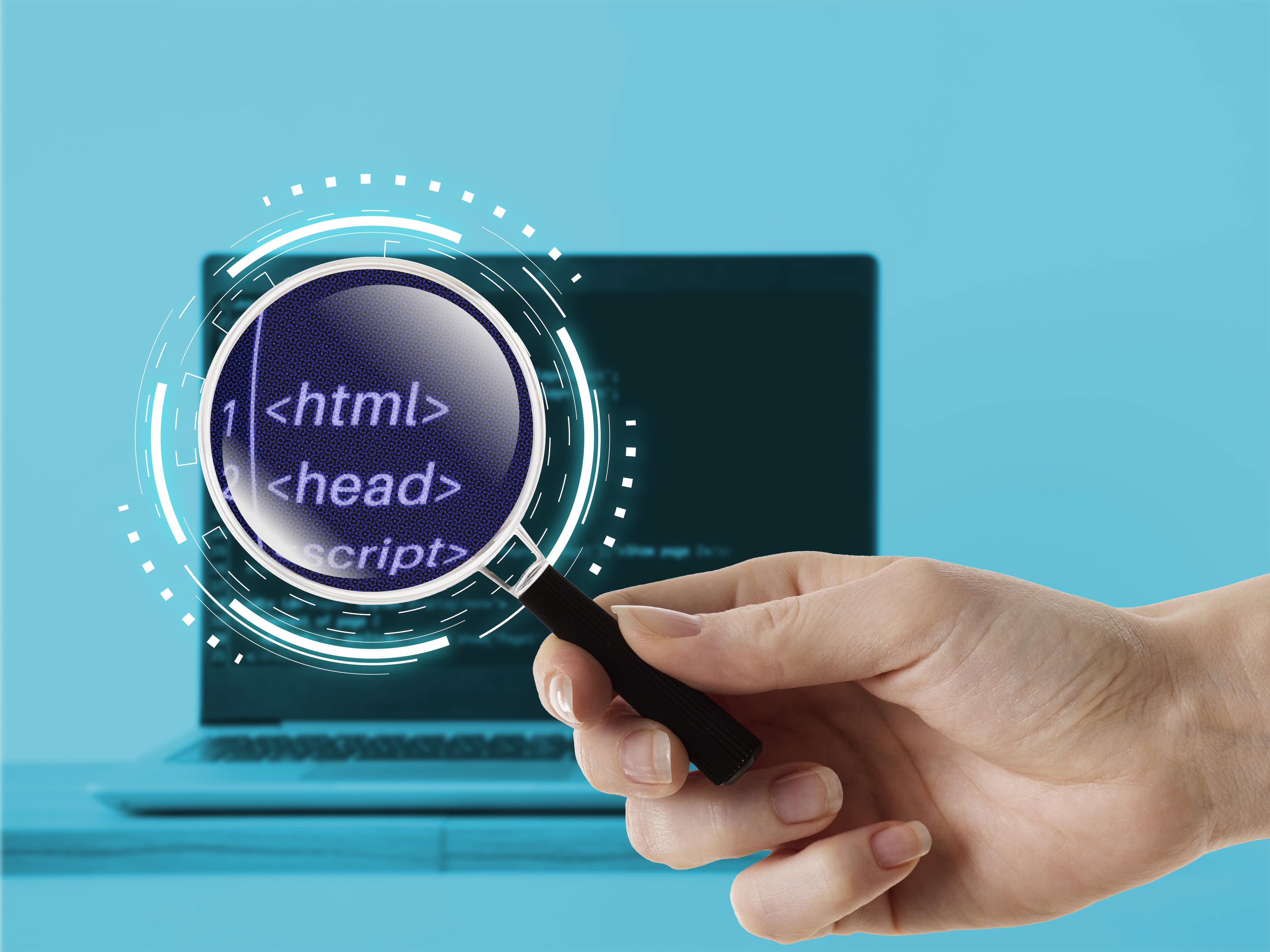 find internal links to a page